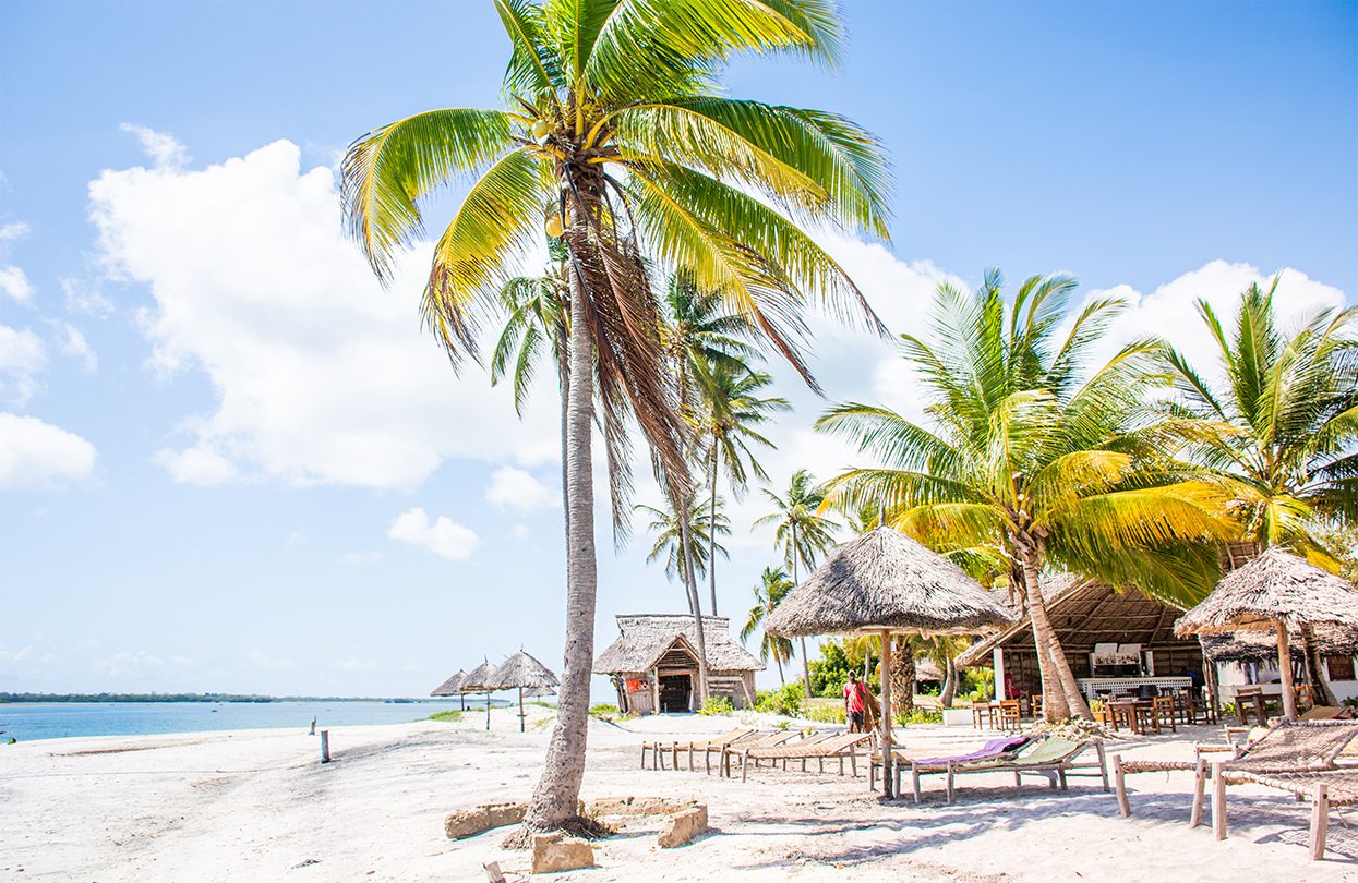 Mafia Island - Palms trees and the sea breeze epitomise days on the beach here