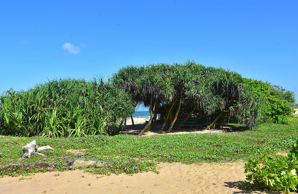 A warm tropical afternoon