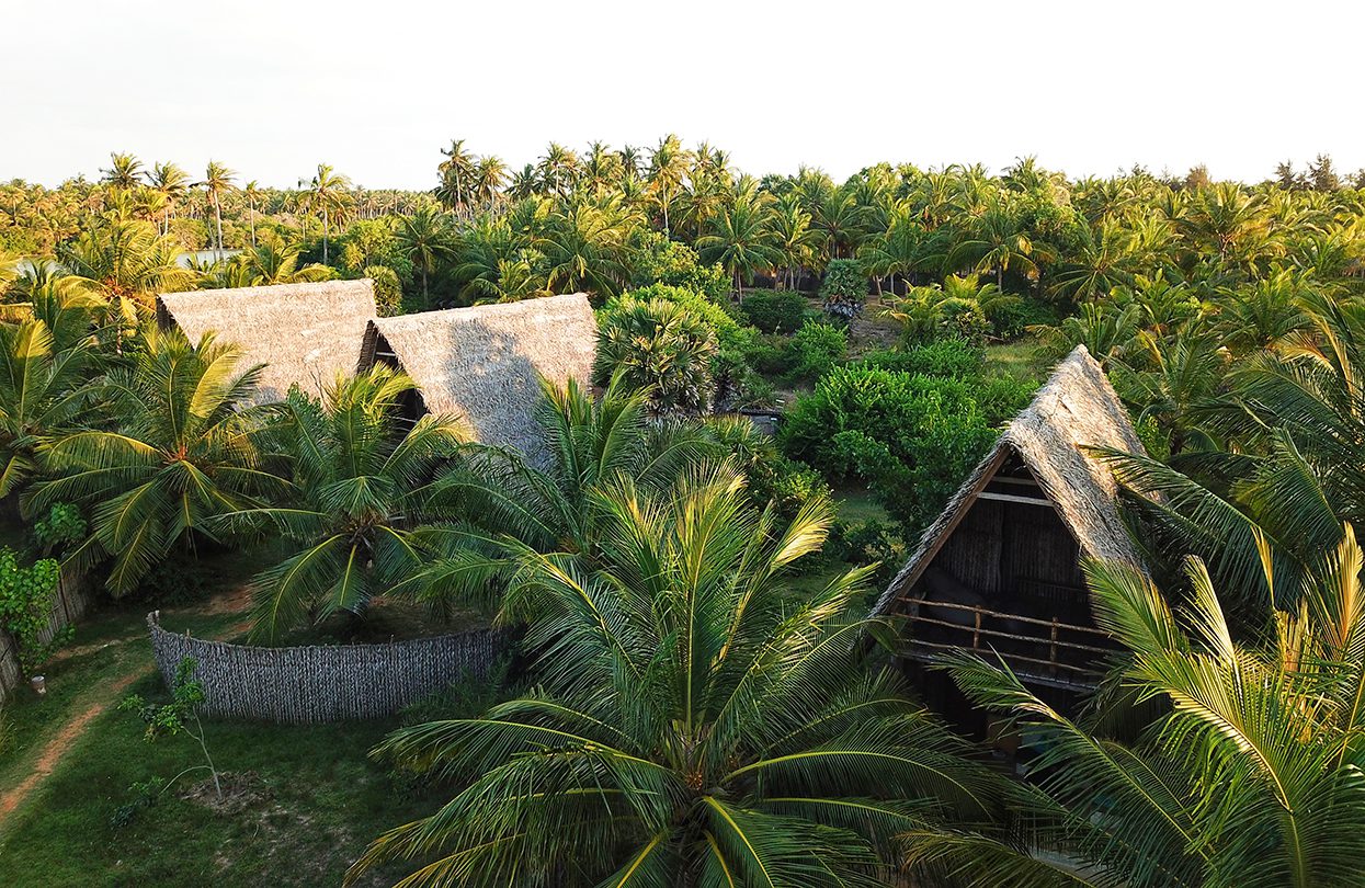 Thatched-roofed cabanas