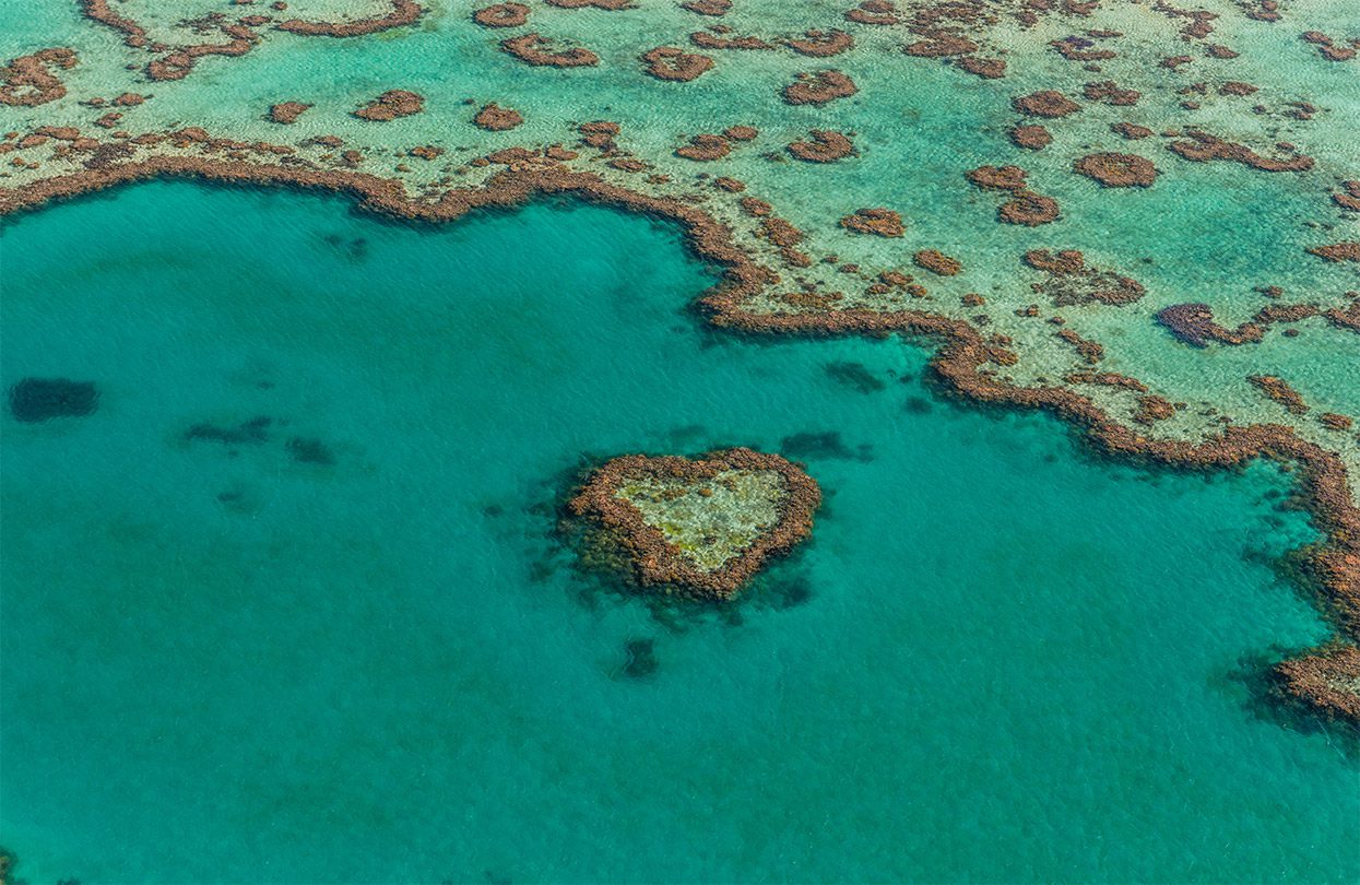 The heart of the Great Barrier Reef, Heart Reef, photo by Mia Glastonbury, Tourism and Events Queensland