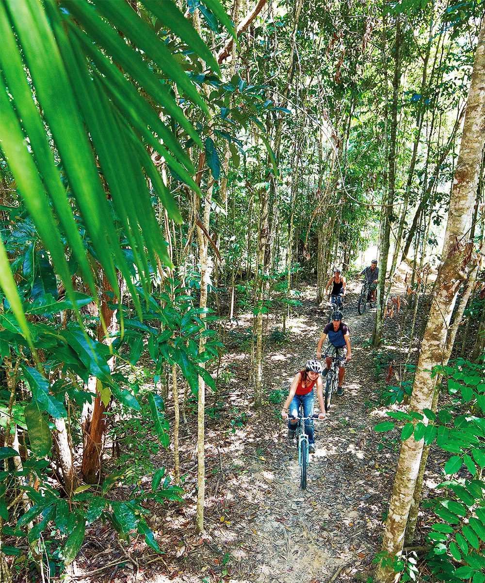 Cycling in the forests around Kuranda, photo by Tourism and Events Queensland