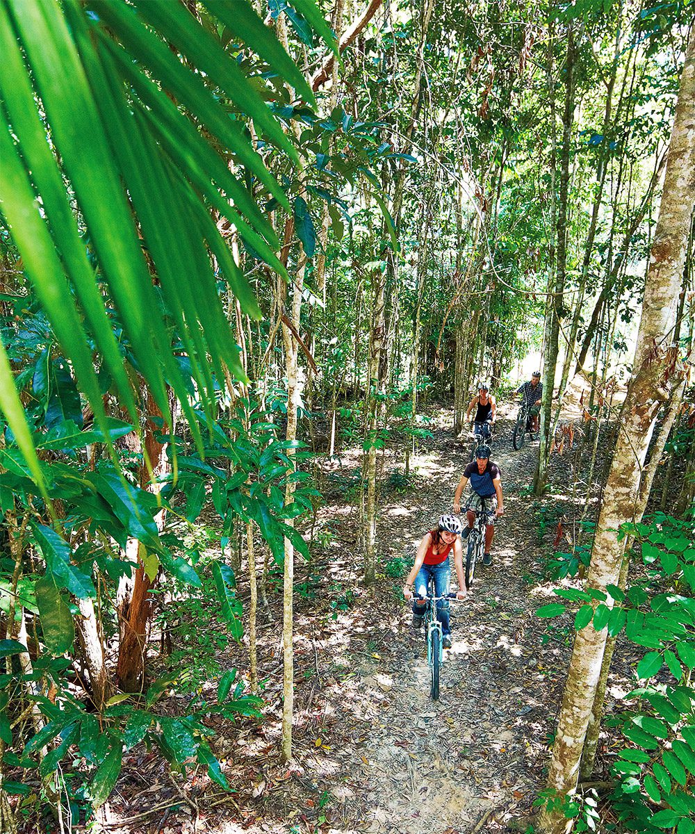 Cycling in the forests, photo by Tourism and Events Queensland