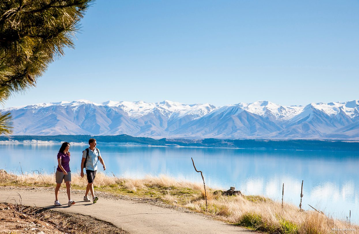 Mackenzie Basin, Canterbury, image by Miles Holden, Tourism New Zealand