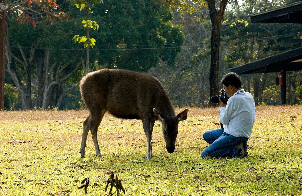 Khao Yai National Park, Nakhon Ratchasima