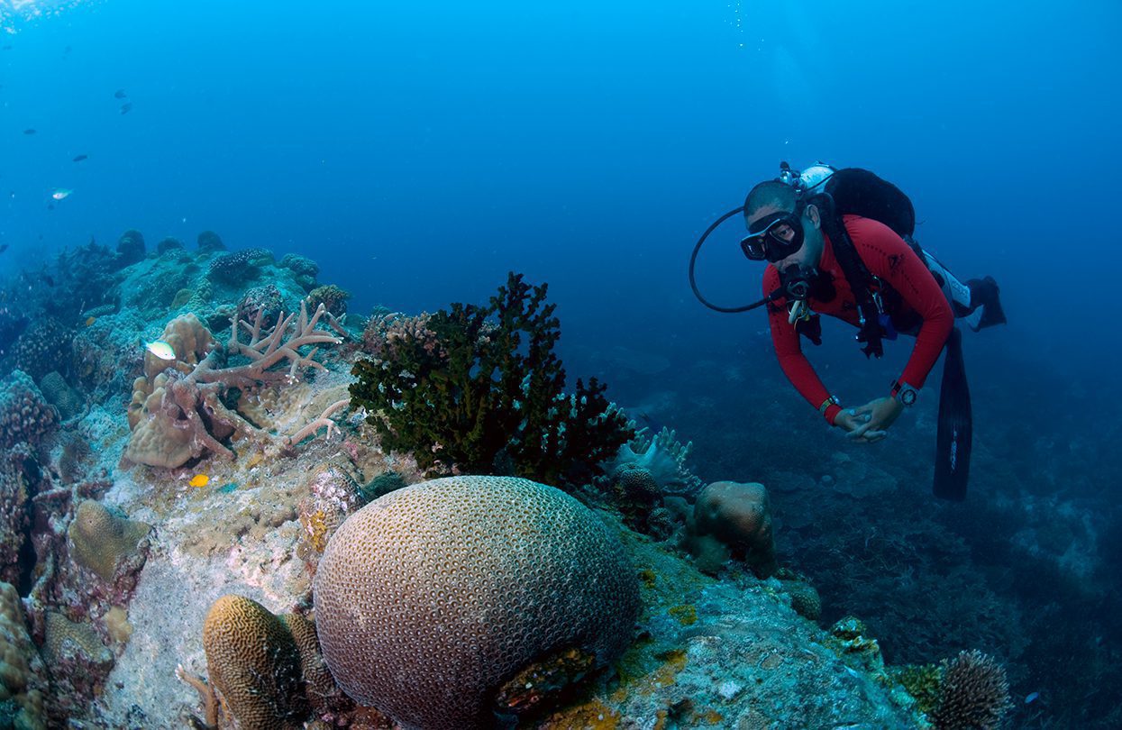 The numerous coral reefs of Tioman Island make it a popular scuba diving spot, image (C) Ariffin Aris Photography, Tourism Malaysia