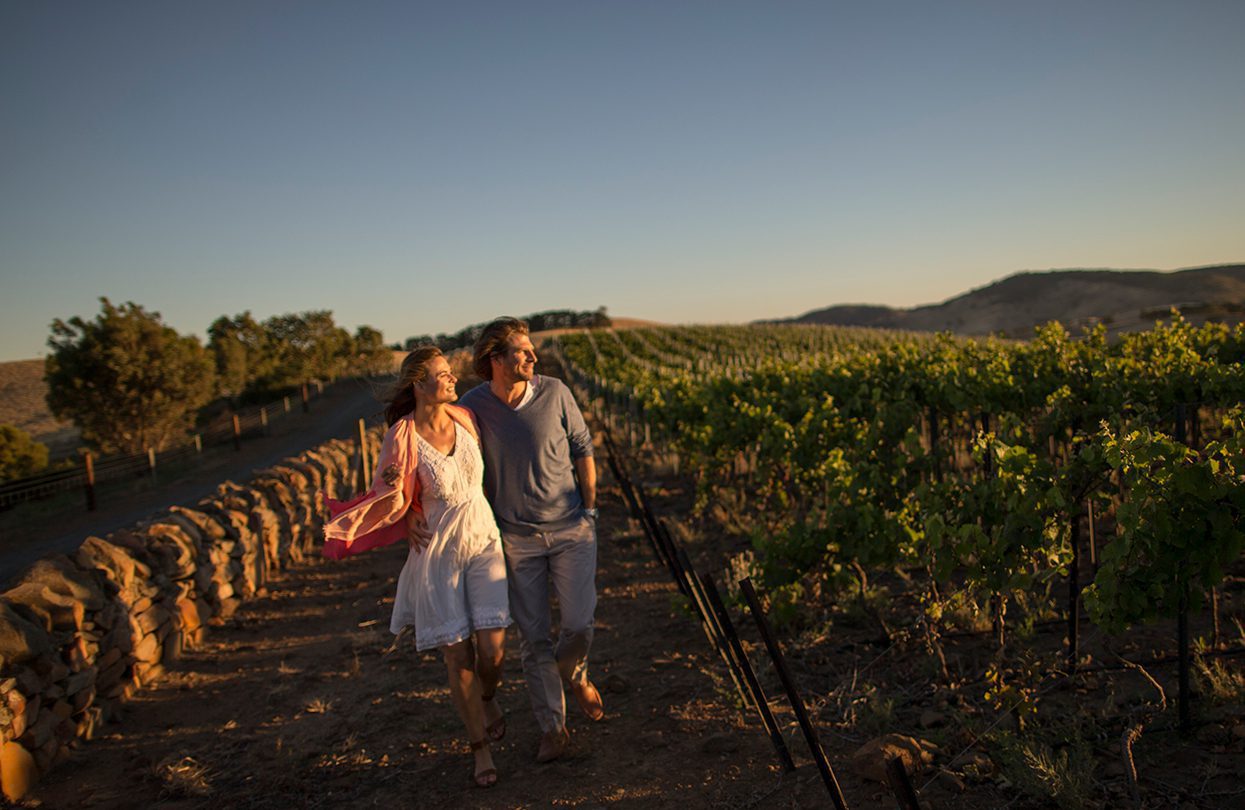 Jacobs Creek vineyards, Ultimate Winery Experiences of Australia, image by Tourism Australia