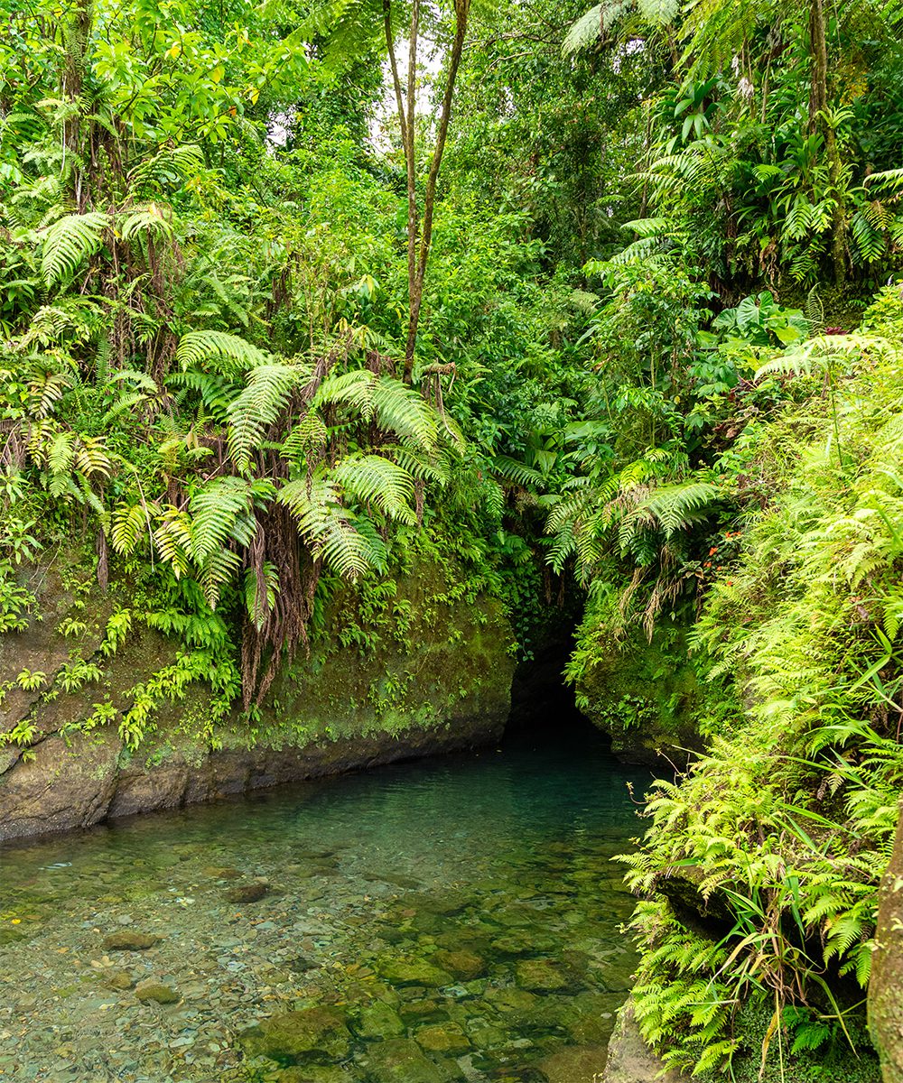 The scenic Titou Gorge in Dominica is a refreshing swimming spot after a long hike, and scenes from Pirates of the Caribbean were filmed in this picturesque spot, image by Dominica Tourism Authority
