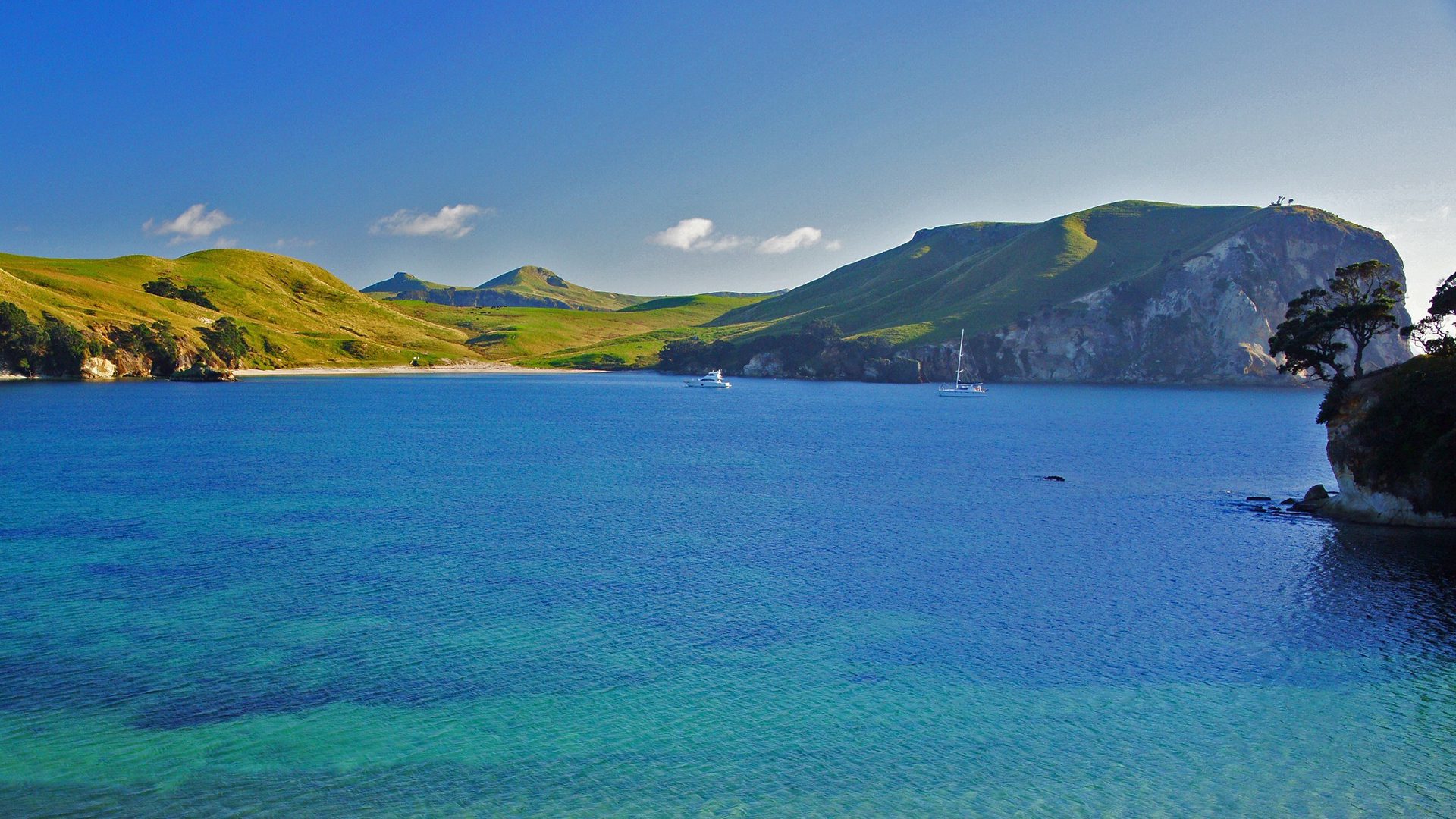 Mercury Island off The Coromandel Peninsula near Whitianga, Trudie Hayde Photos, Tourism New Zealand