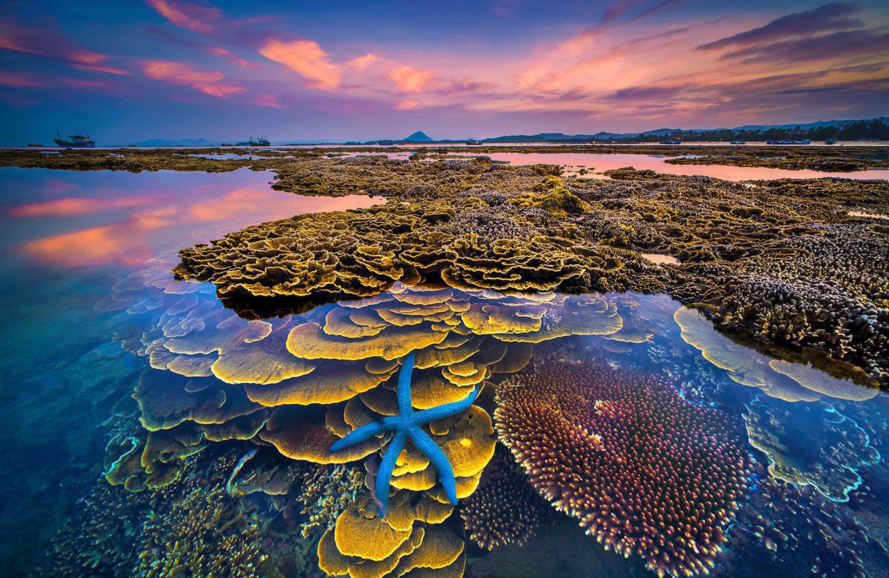 Colors of the sea, (Hon Yen - Phu Yen), photo by Tran Bao Hoa - Binh Dinh, Vietnam National Administration of Tourism