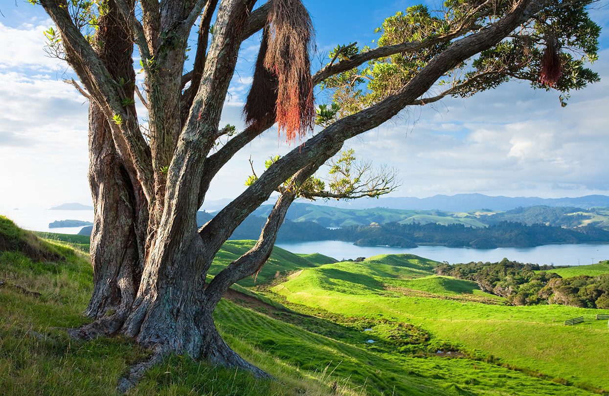 View from the hills overlooking The Coromandel Peninsula, image by Destination Coromandel, Tourism New Zealand