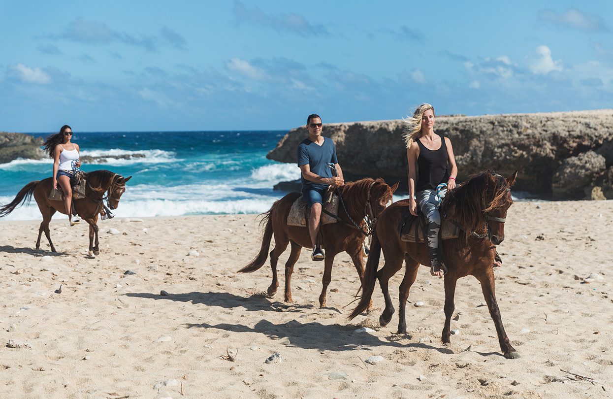 Horseback Riding, image by Wings Global Media, Aruba Tourism