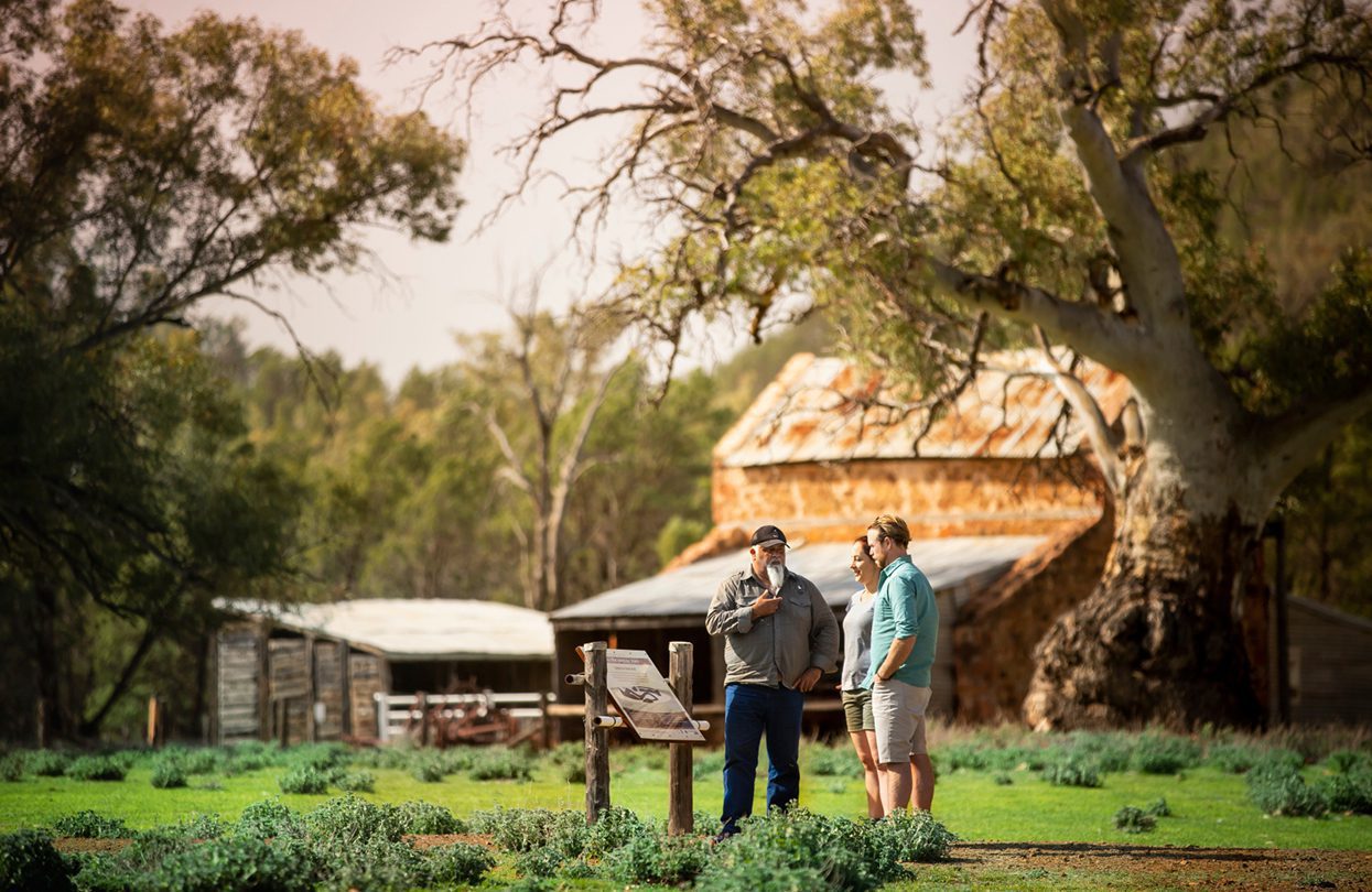 Camping resort style at Wilpena Pound, image by Archie Sartracom