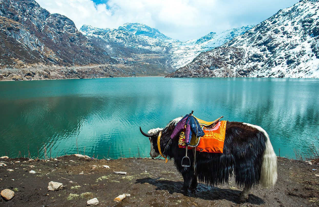 Tsongmo Lake in Sikkim, image by Nattee Chalermtiragool