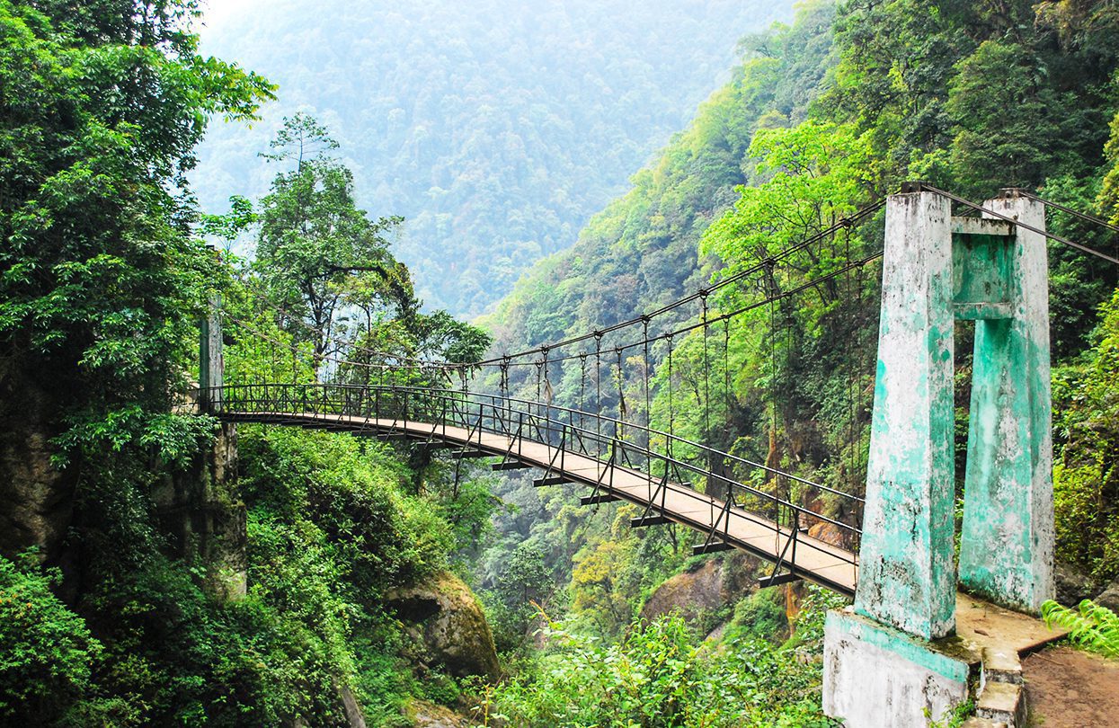 Suspension bridge in the forest at Goche-la pass trek, Sikkim, image by ShuHo