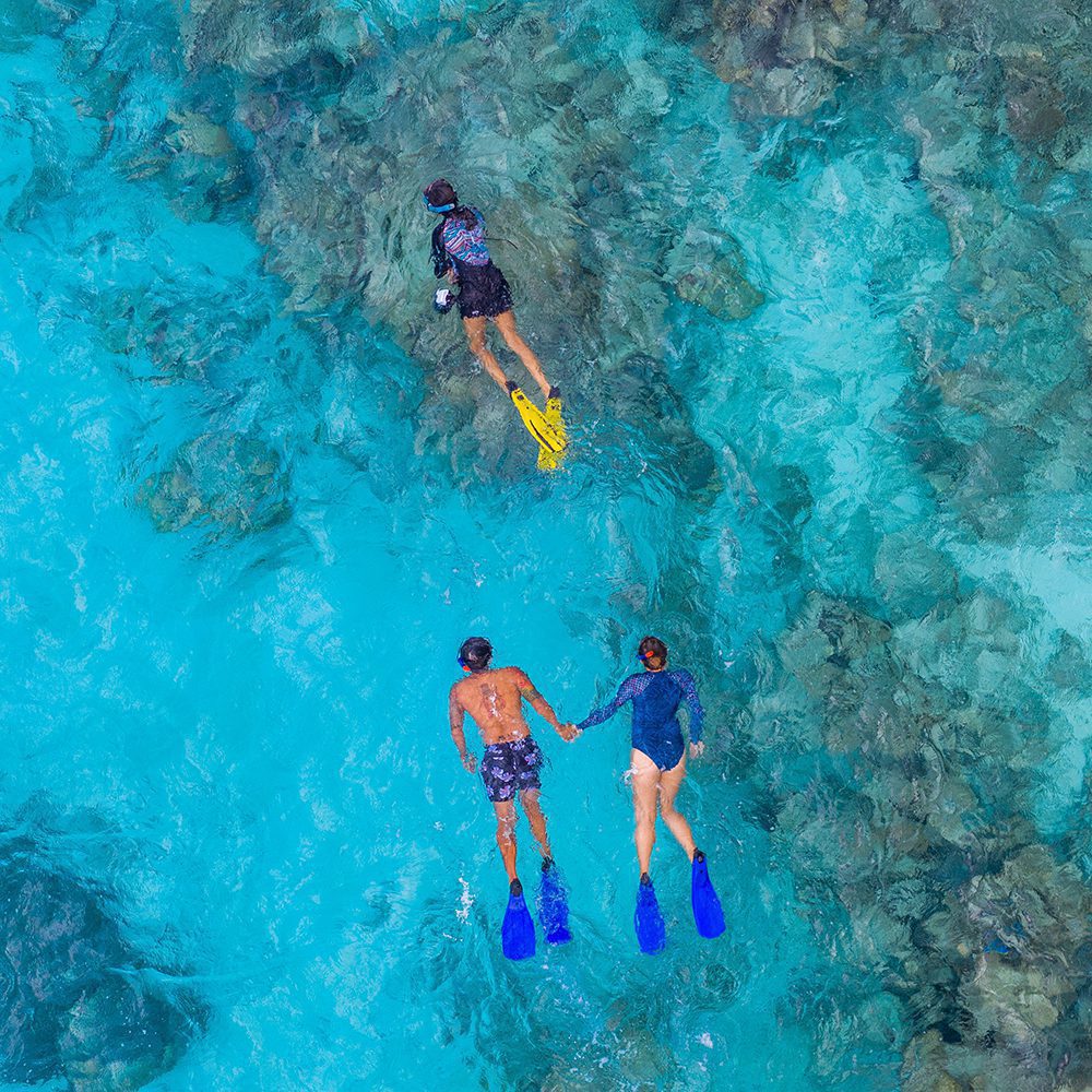 Snorkelling, image by Raffles Maldives Meradhoo