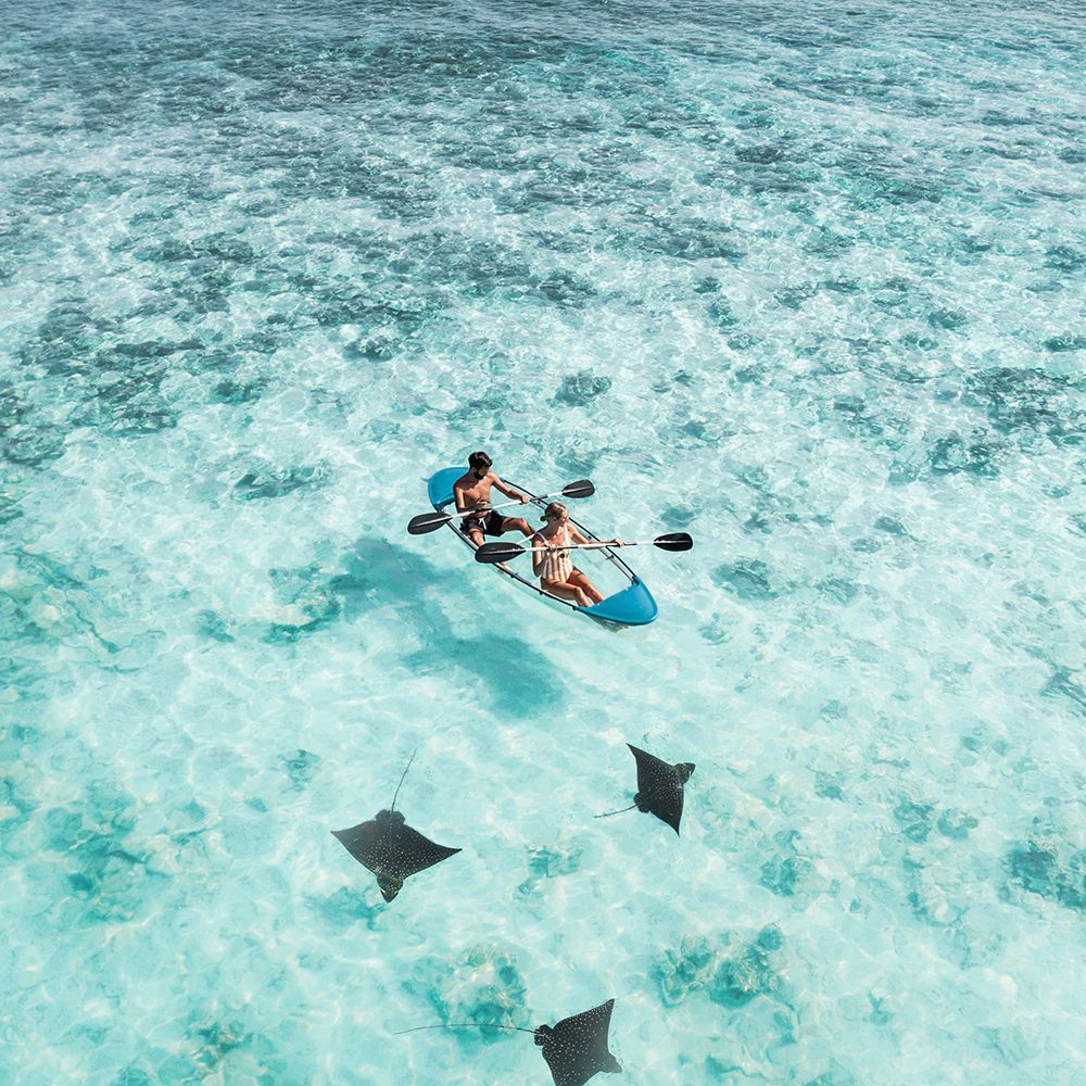 Glass bottom Kayak, image by Raffles Maldives Meradhoo