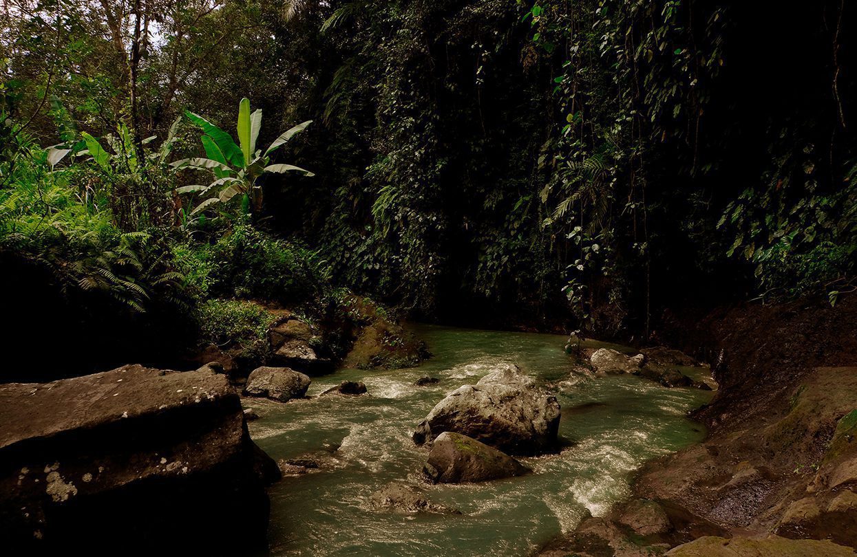 Wos River at Capella Ubud