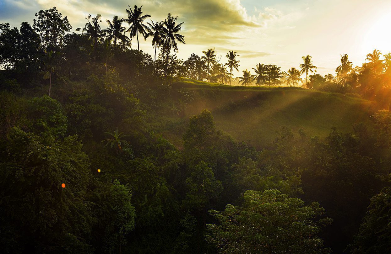 Capella Ubud