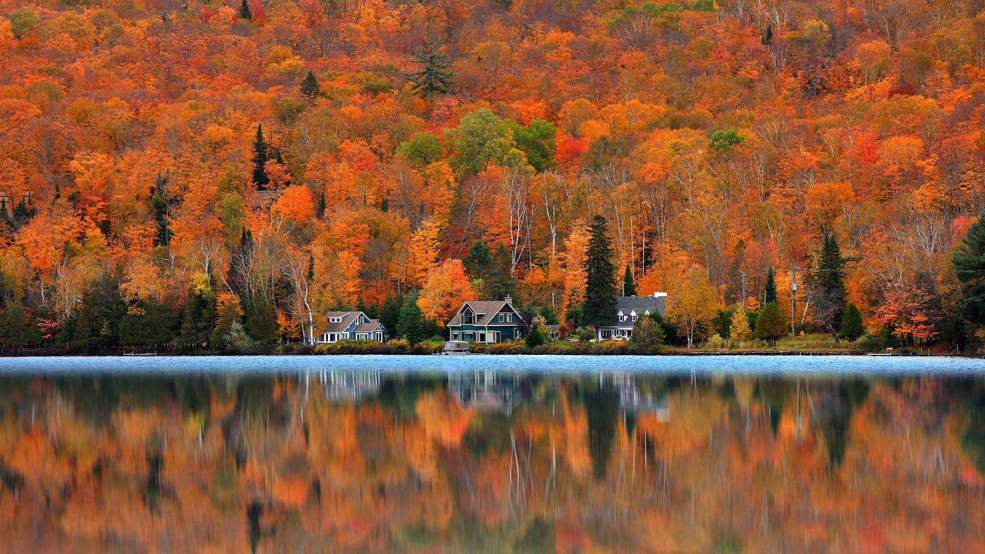 Autumn in Quebec