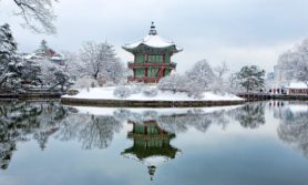 Singapore Seoul VTL flights