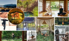18 Retreats Perfect for Your Wellness Journey