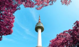 South Korea in spring, photo by Aleksandar Pasaric, Pexels