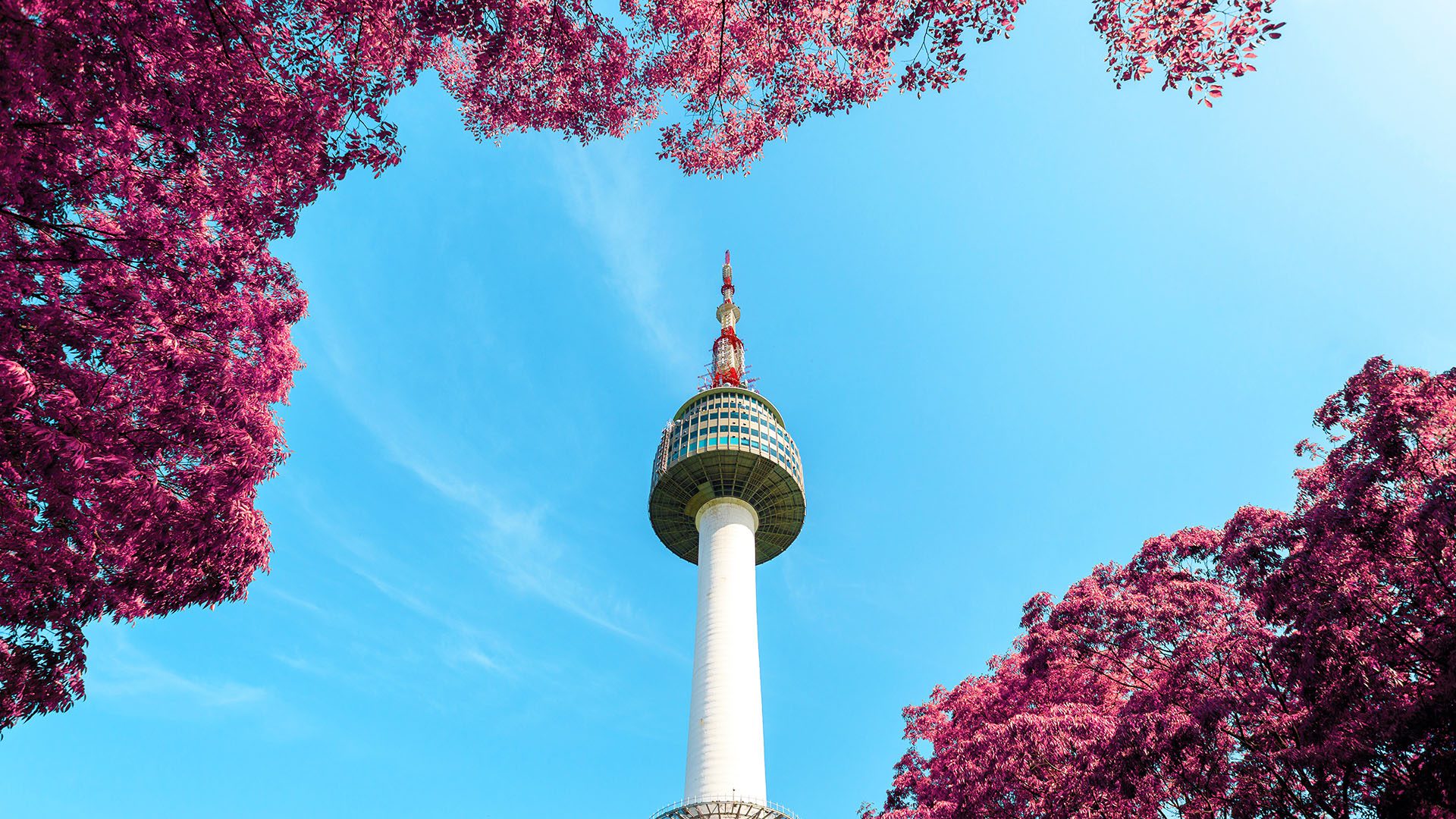 South Korea in spring, photo by Aleksandar Pasaric, Pexels