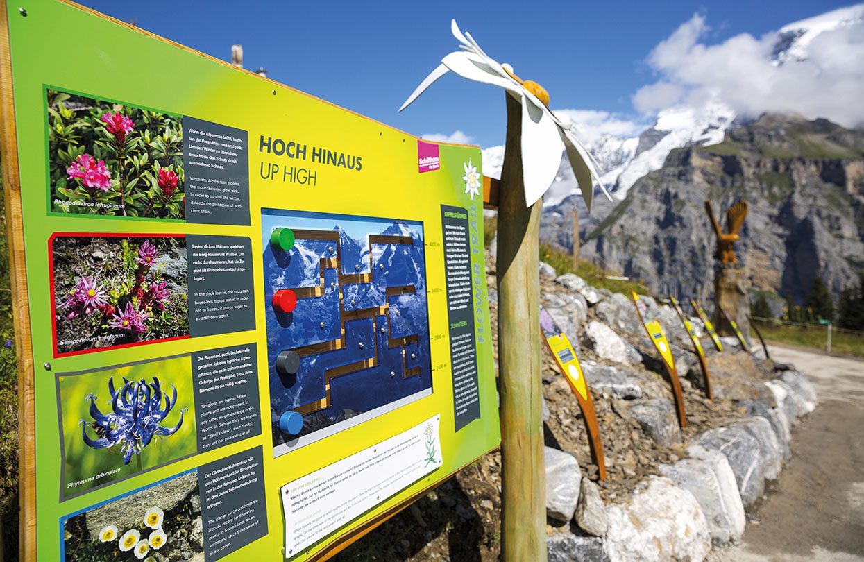 Perfect summer fun, the family friendly Flower Trail at Allmendhubel, photo credit Swiss Tourism Board