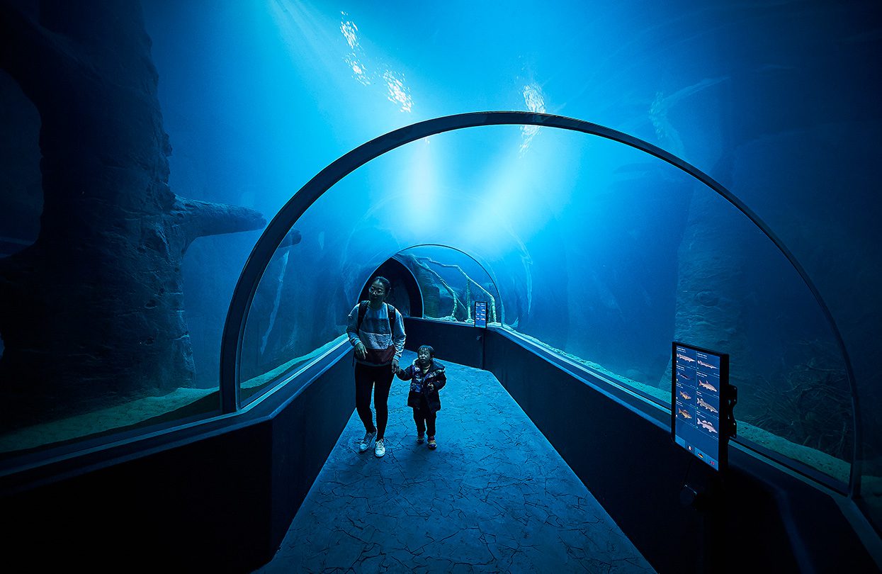 Aquatis, the largest freshwater aquarium in Europe, image © Sedrik Nemeth