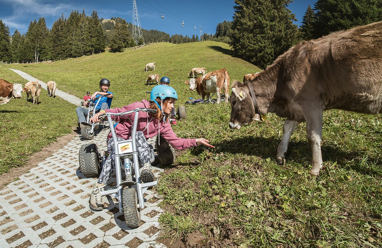 Grindelwald First - Mountain Cart, © Jungfraubahnen