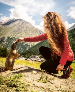 Marmots in Saas-Fee, image © Saastal Tourismus AG - Puzzle Media