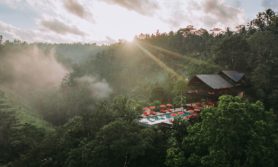 Banyan Tree Buahan Ubud Bali