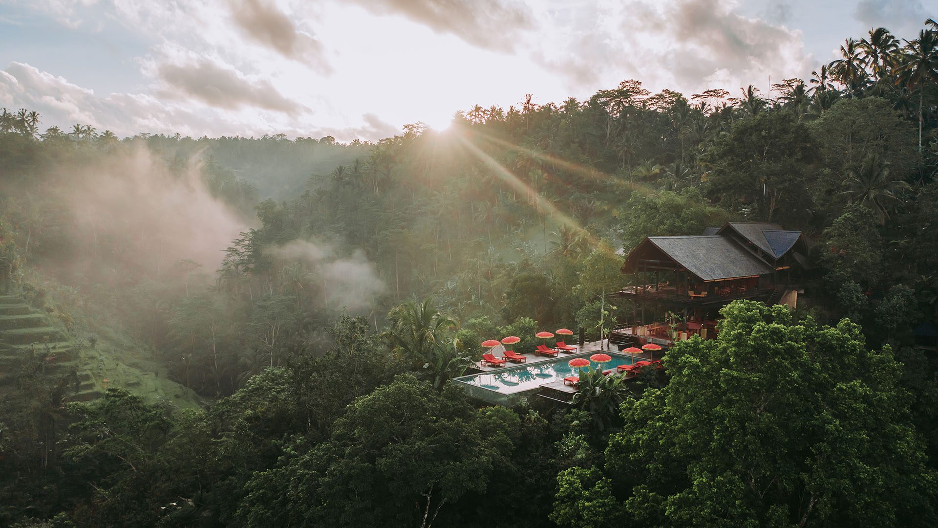 New Jungle Retreat in Ubud