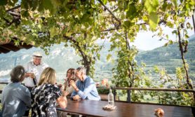 Try traditional Valais food, witness the harvest, enjoy wine tastings and walk through vineyards of Les Celliers de Sion, image credit Switzerland Tourism
