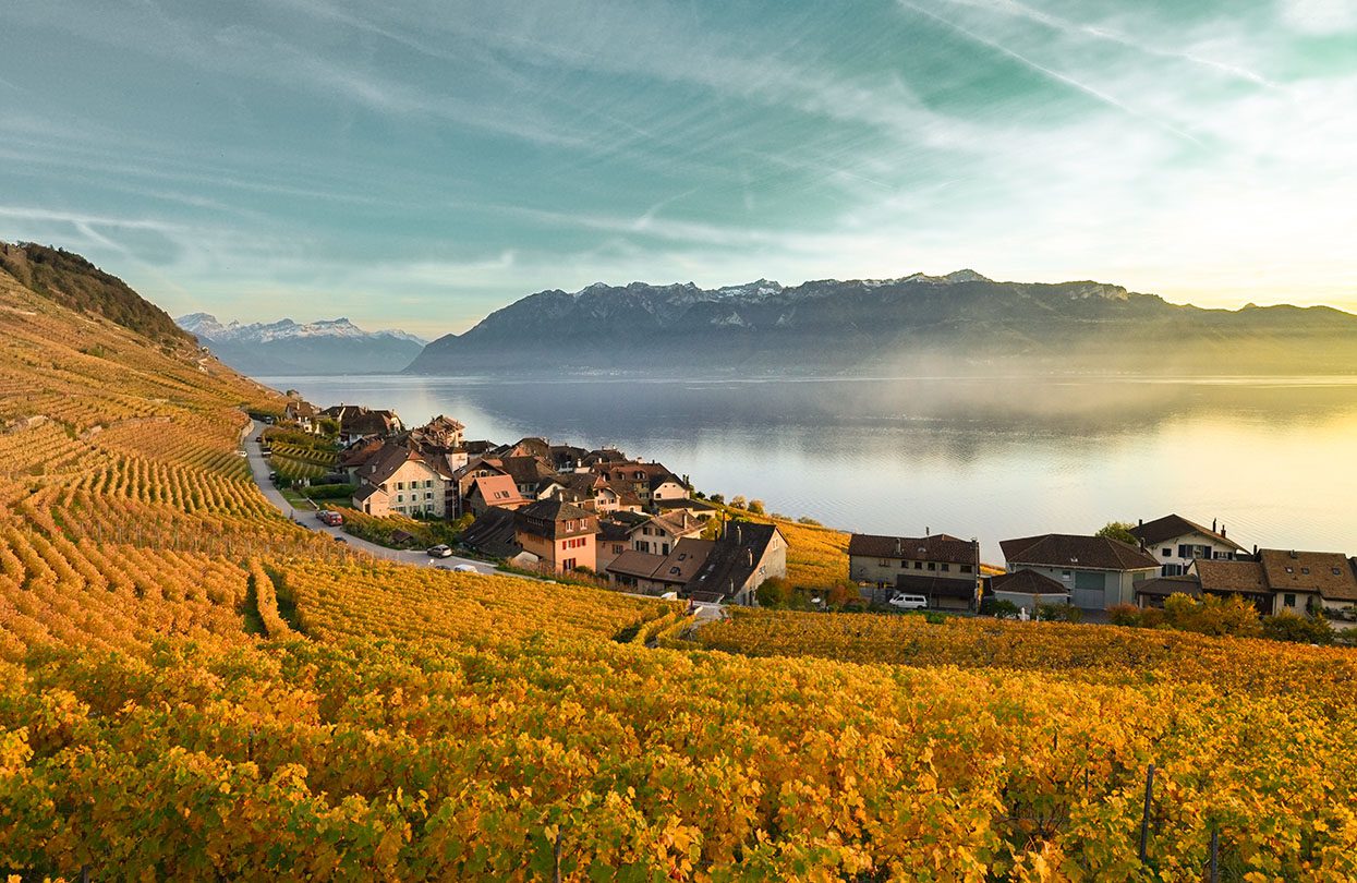 Autumn in Lavaux, image by Maude Rion, Switzerland Tourism