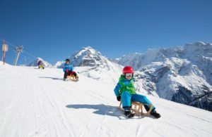 Sledging in Mürren, image by Switzerland Tourism