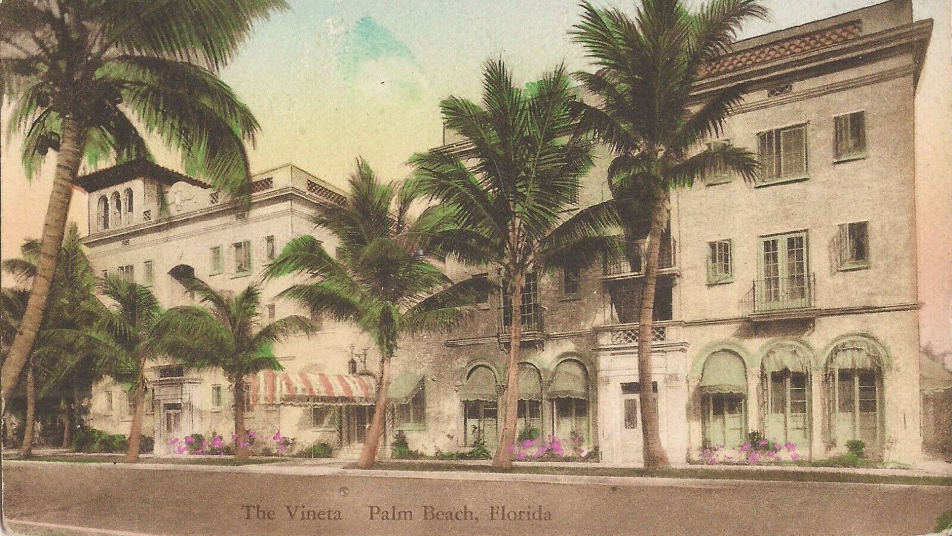 The Vineta vintage postcard colored, image courtesy Oetker Collection