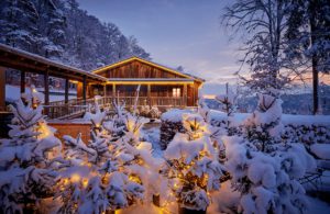 A beautiful fondue chalet in the forest, image by Chalet Zürichberg