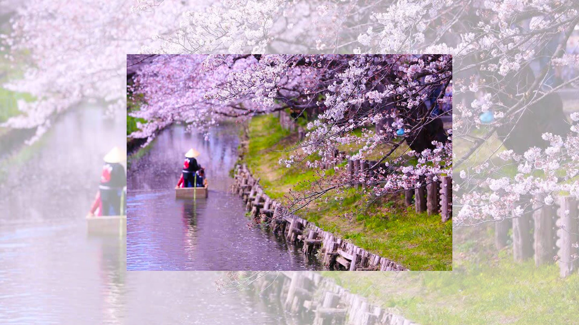 Koedo Kawagoe Spring Boat Tour, Image by Koedo Kawagoe Tourist Association