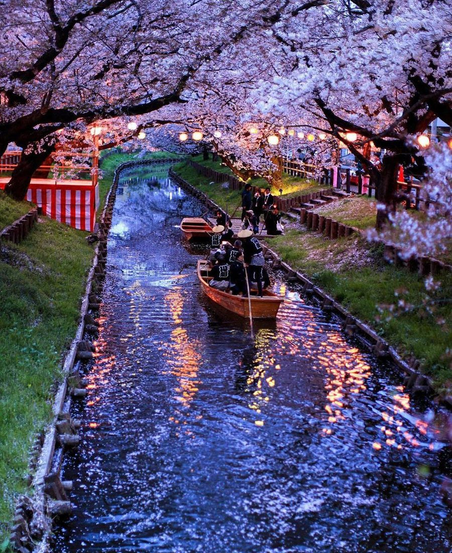 Koedo Kawagoe Spring Boat Tour, image by sunuq on Flickr