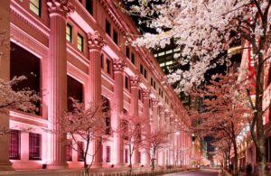 Cherry blossom season in Tokyo's Nihonbashi