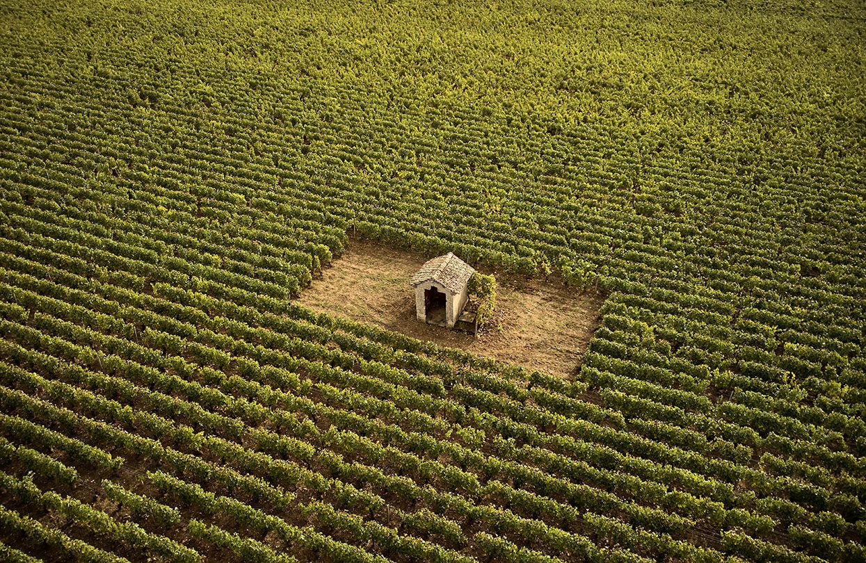 Apart from the illustrious Montrachet, four Grand Cru vineyards and seventeen Premier Cru vineyards lie in close proximity to the hotel