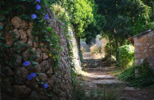 Exploring the beautiful hidden paths and trails in the Serra de Tramuntana in Mallorca, Spain, photo by Kevin Johnston, Unsplash