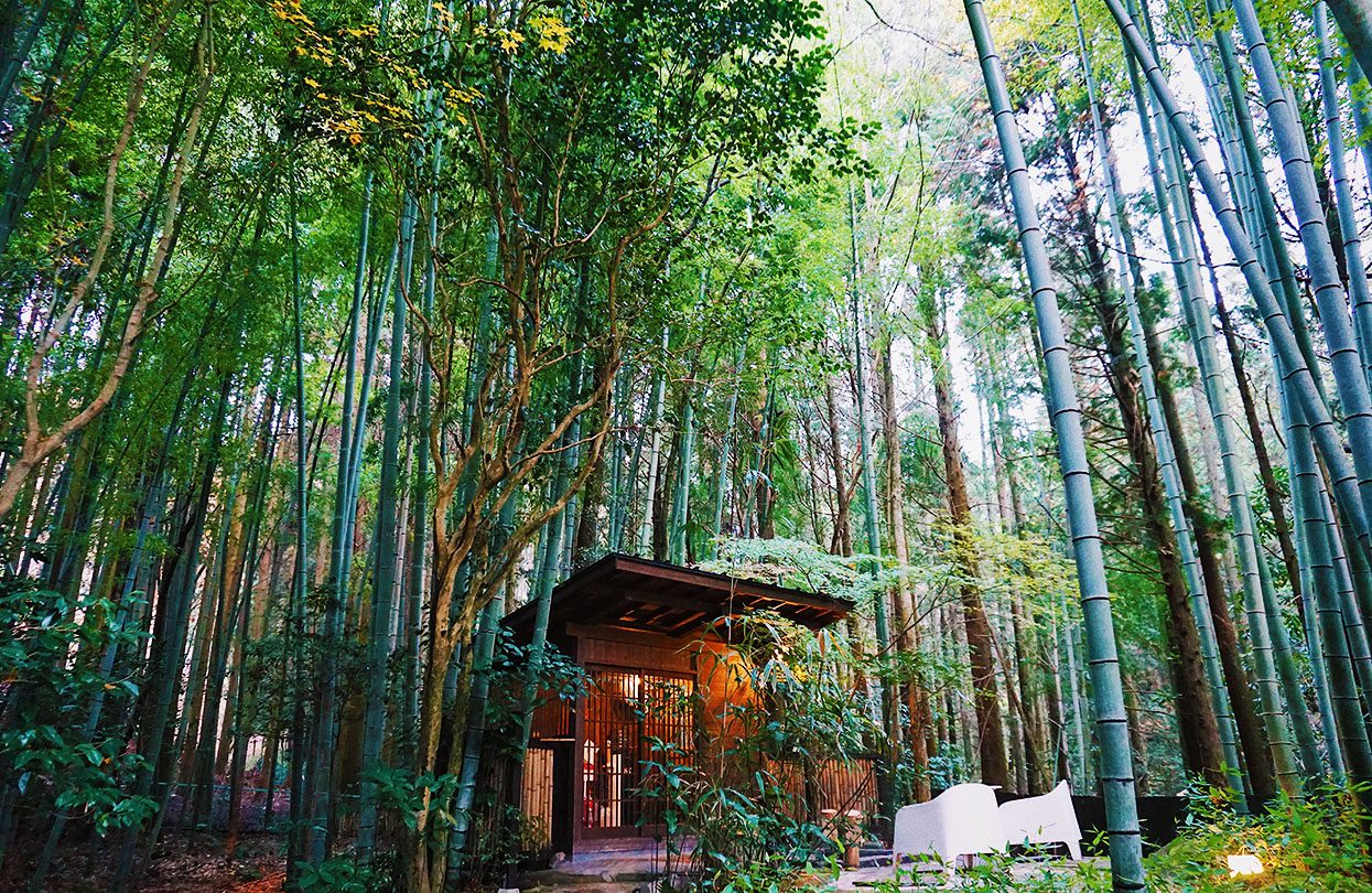 A hot spring surrounded by a bamboo forest, Photo by Yuri Shirota, Unsplash