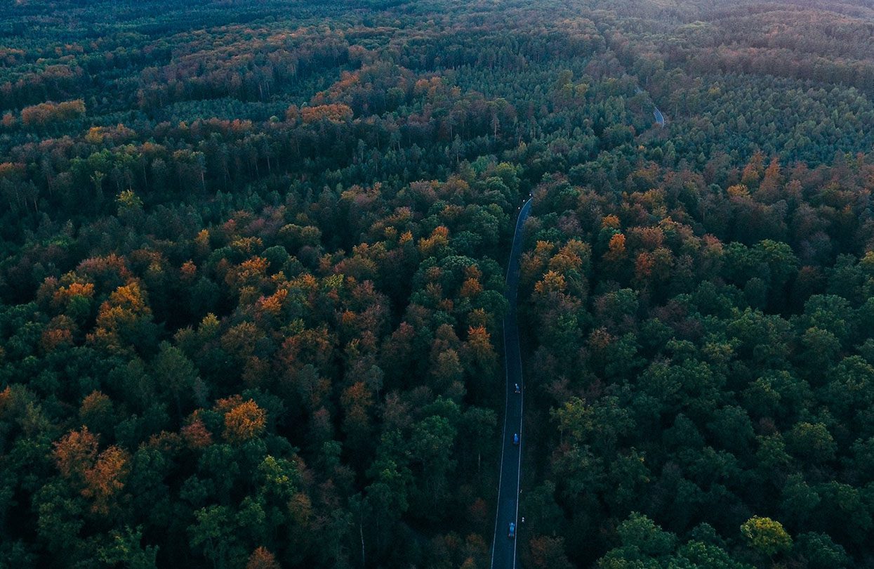 Germany's Black Forest, Photo by Max Bottinger on Unsplase