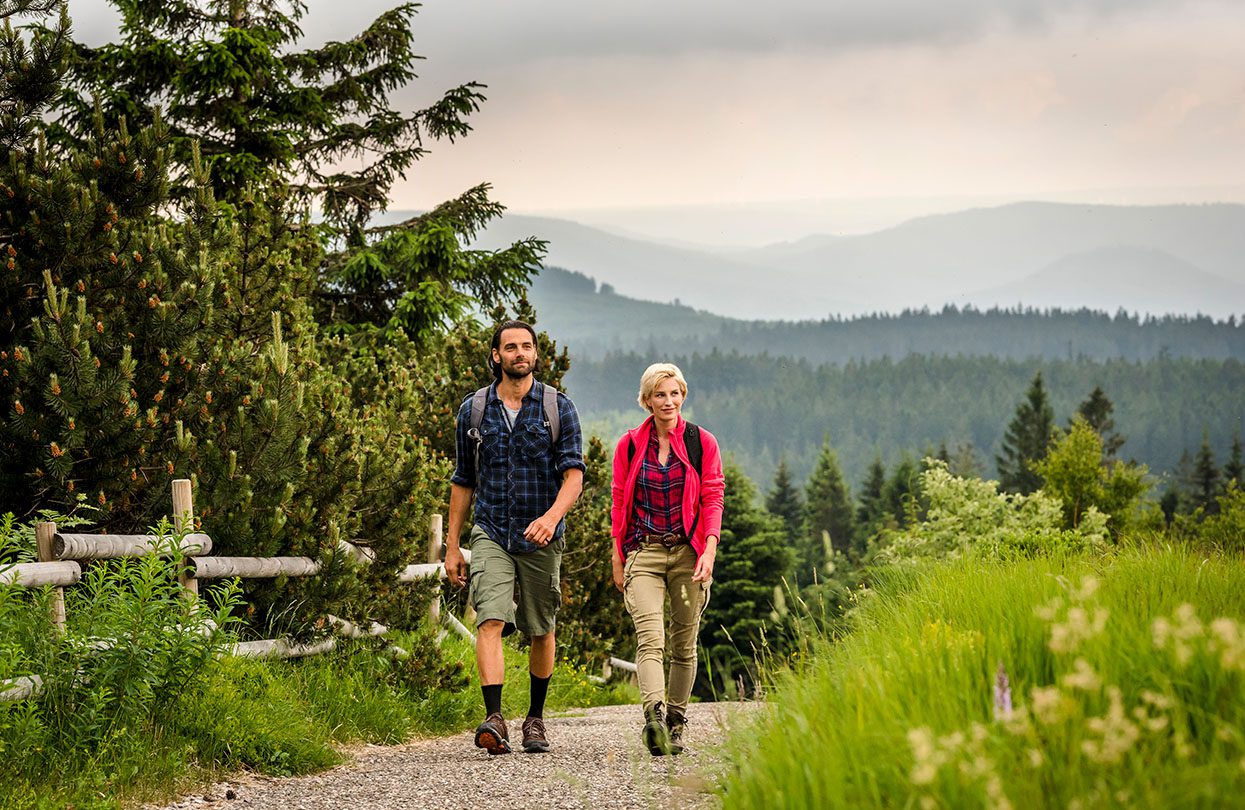 Hiking trail in Mountain Schliffkopf, image copyright DZT_Günter Standl
