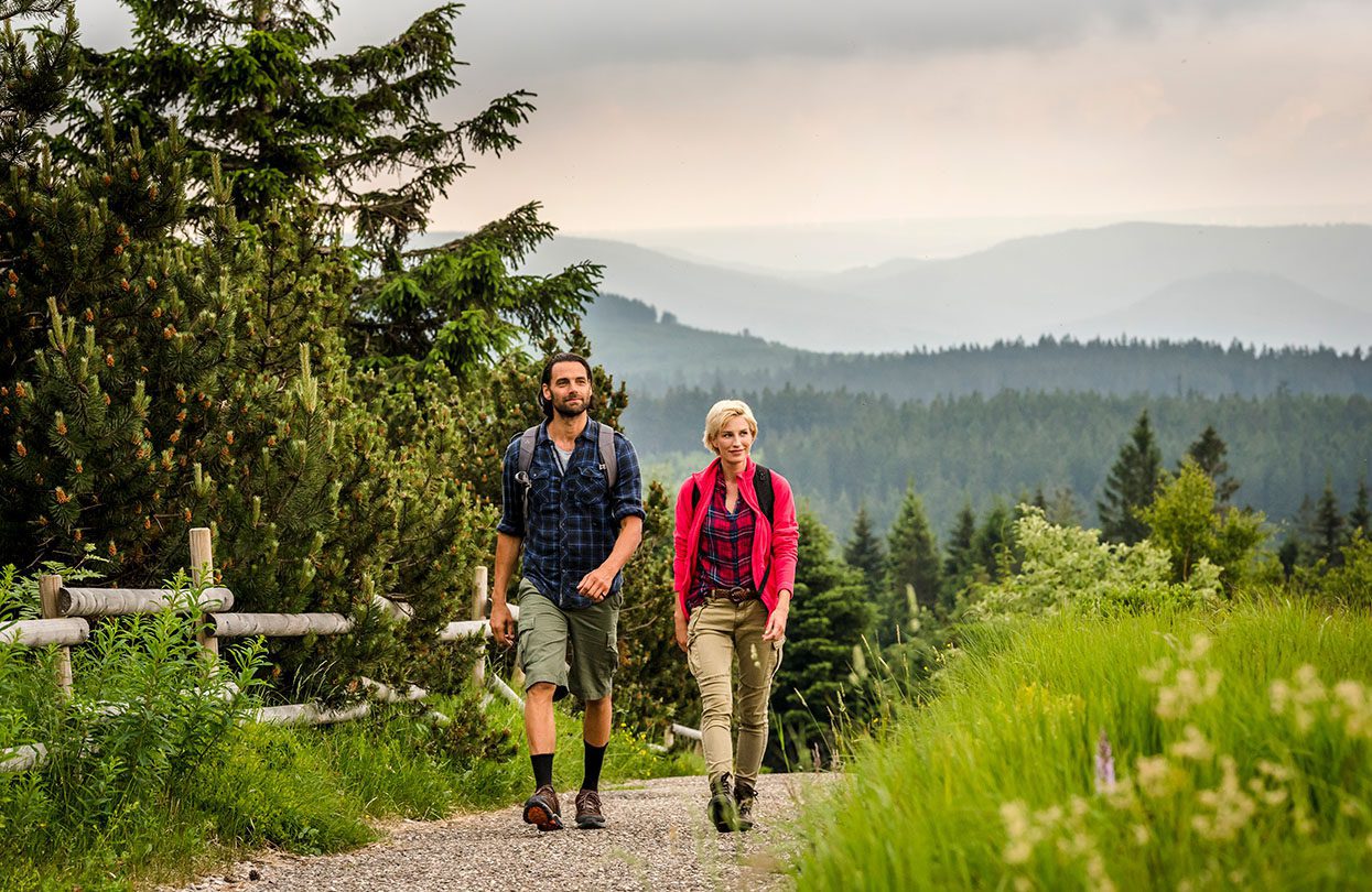 Hiking trail in Mountain Schliffkopf, image copyright DZT_Günter Standl
