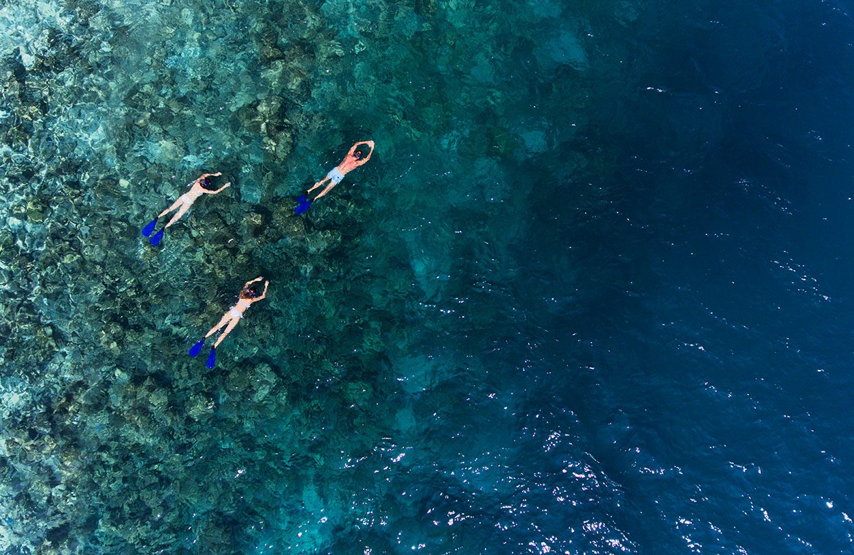 Snorkelling when at Vakkaru Maldives, Baa Atoll