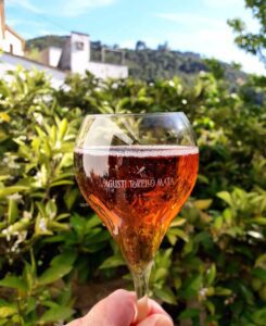 Agusti Torello Mata wine