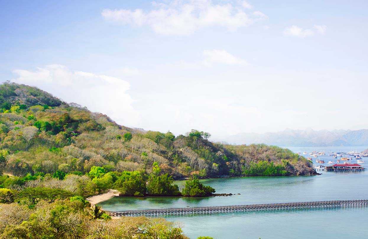 The coastline of East Nusa Tenggara